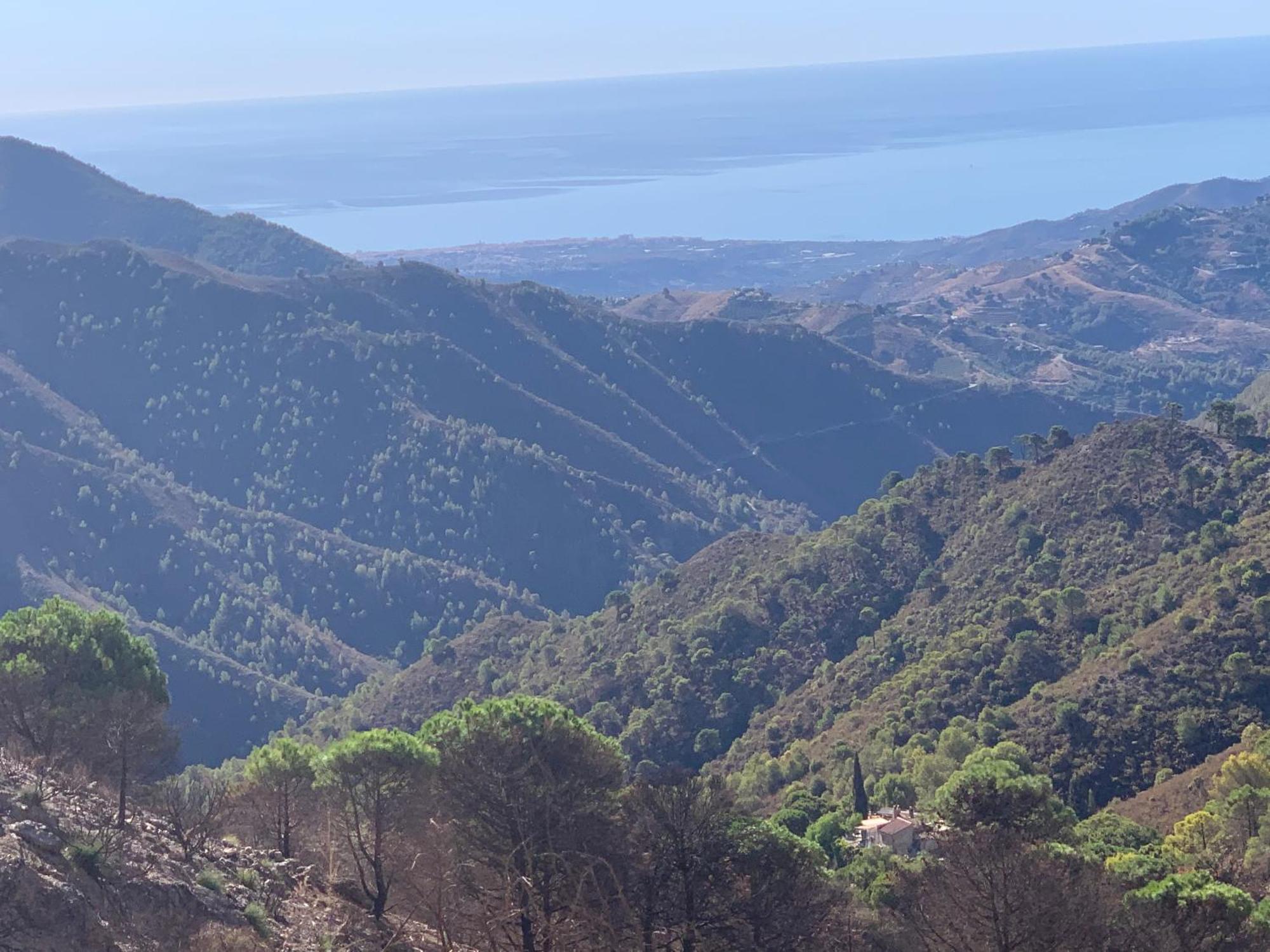 El Almendro Hébergement de vacances Málaga