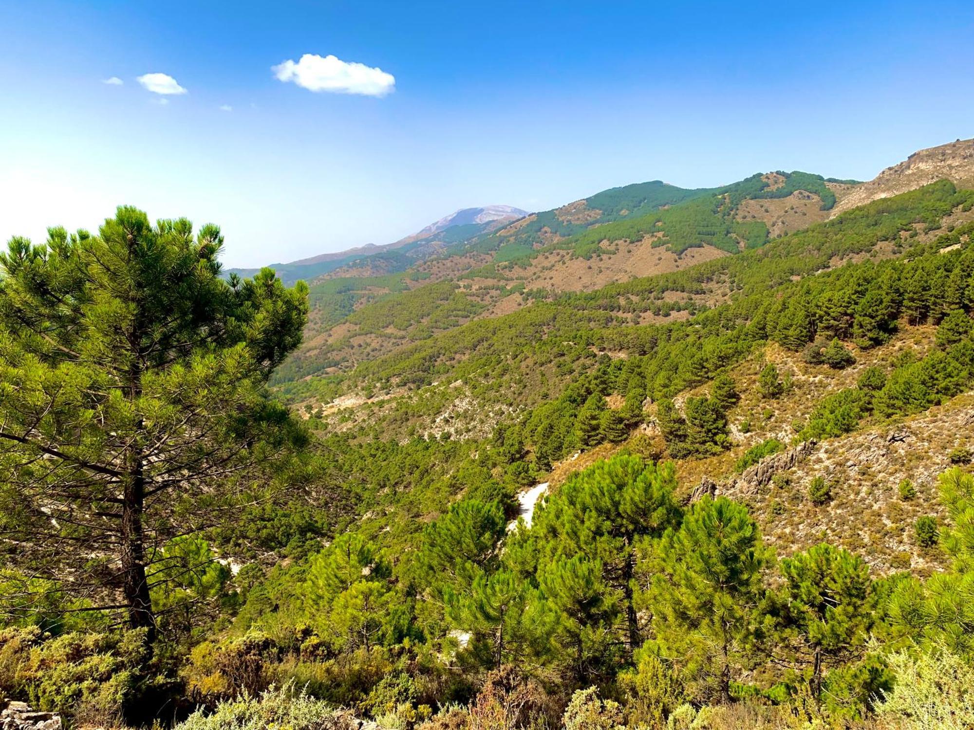 Ferienhaus El Almendro Málaga