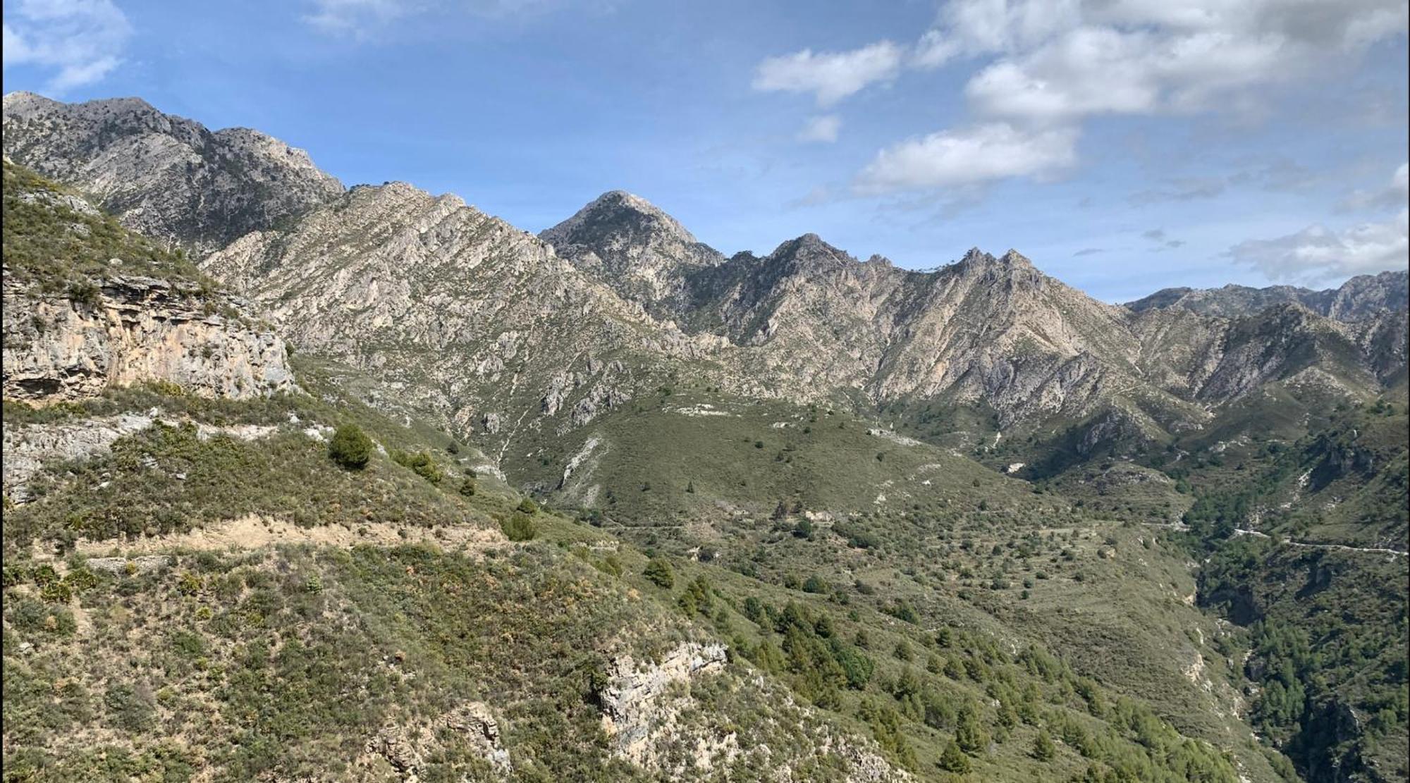 El Almendro Holiday home